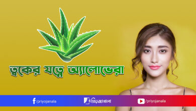 ত্বকের যত্নে অ্যালোভেরার উপকারিতা ও ব্যবহার