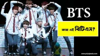 বিটিএস (BTS) কারা? বিটিএস (BTS) ও বিটিএস আর্মি সম্পর্কে জানুন