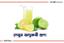 লেবুর গুণ ও লেবুর উপকারিতা - লেবুর টিপস 27 লেবুর গুণ ও লেবুর উপকারিতা - লেবুর টিপস