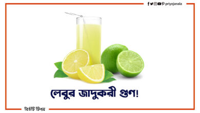লেবুর গুণ ও লেবুর উপকারিতা - লেবুর টিপস