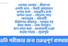 ভর্তি পরীক্ষার জন্য গুরুত্বপূর্ণ কিছু বাগধারা 6 ভর্তি পরীক্ষার জন্য গুরুত্বপূর্ণ কিছু বাগধারা