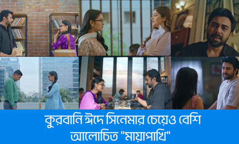 কুরবানি ঈদে সিনেমার চেয়েও বেশি আলোচিত "মায়াপাখি" 1 কুরবানি ঈদে সিনেমার চেয়েও বেশি আলোচিত "মায়াপাখি"